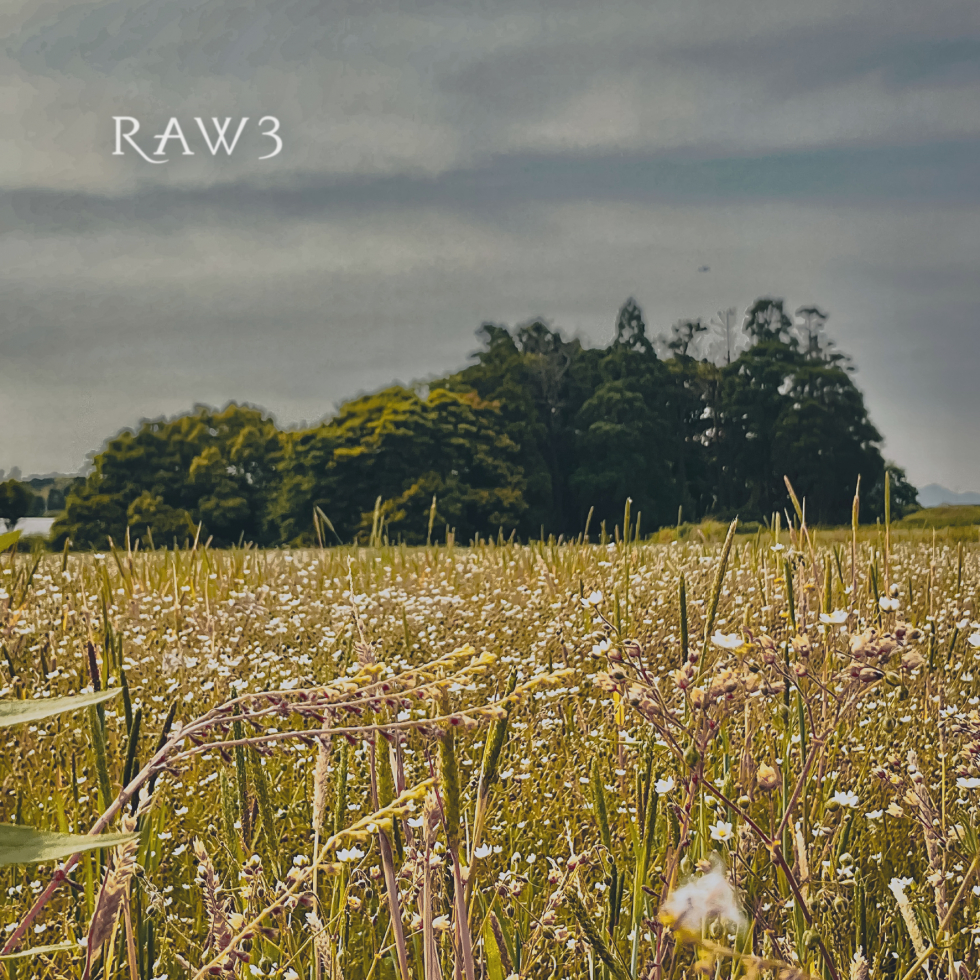 長澤知之「RAW3」ジャケット写真